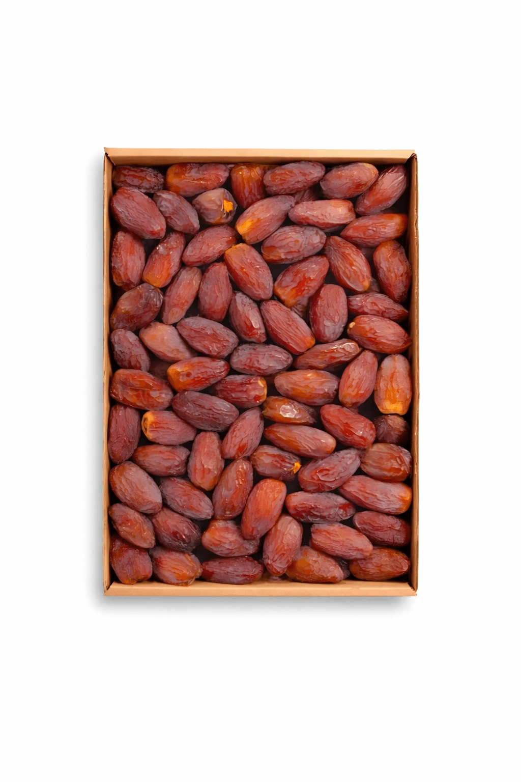 Premium Majdool Dates